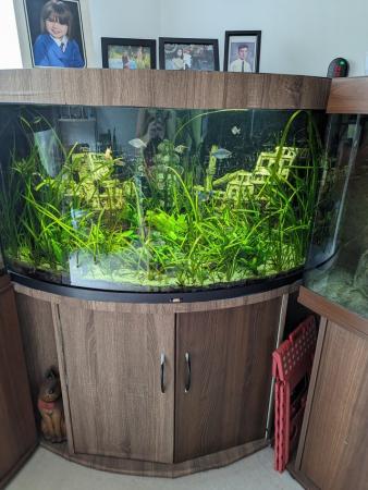 Image 5 of 350L Juwel TRIGON corner fish tank