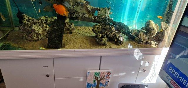 Image 4 of 5ft fish tank and cabinet for sale