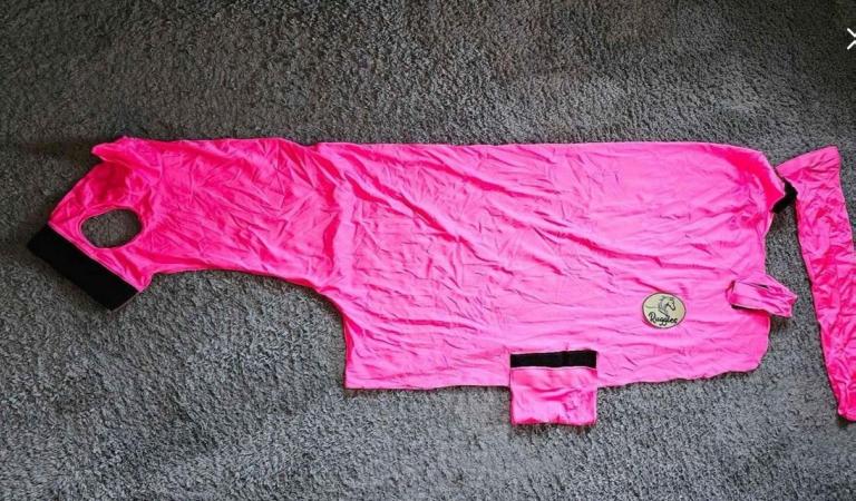 Image 1 of Miniature horse full lycra body suit - pink 3'9/4'0 size
