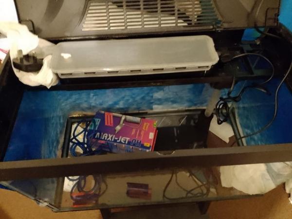 Image 4 of 54 litre fish tank with red and blue slides