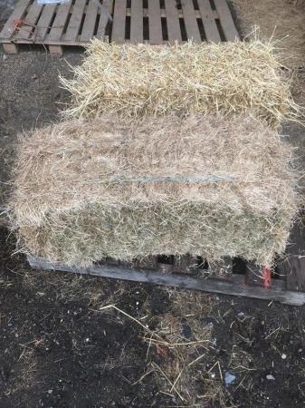 Image 3 of Barley straw bale in a bag FREE DELIVERY