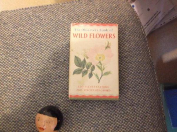 Image 2 of WILD FLOWERS - OBSERVER BOOK 1965 EDITION