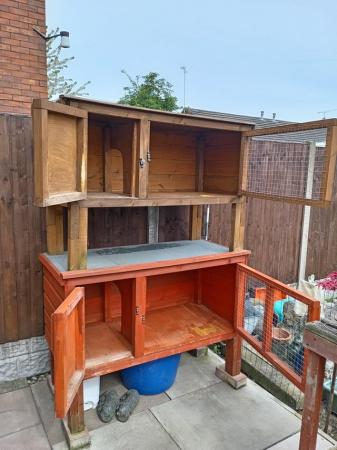 Image 6 of Two hutches for Guinea pigs ONO