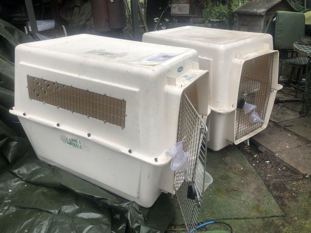 Preview of the first image of Huge dog crate petmate adult large dog.