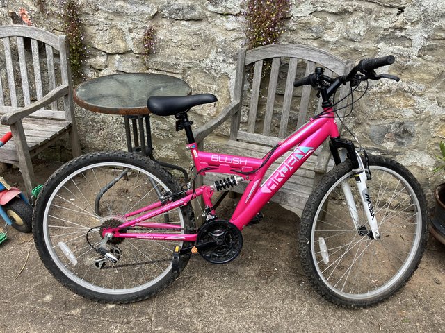 Arden blush mountain bike
- £100 ono