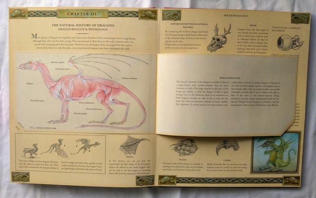 Image 6 of Dragonology The Complete Book of Dragons