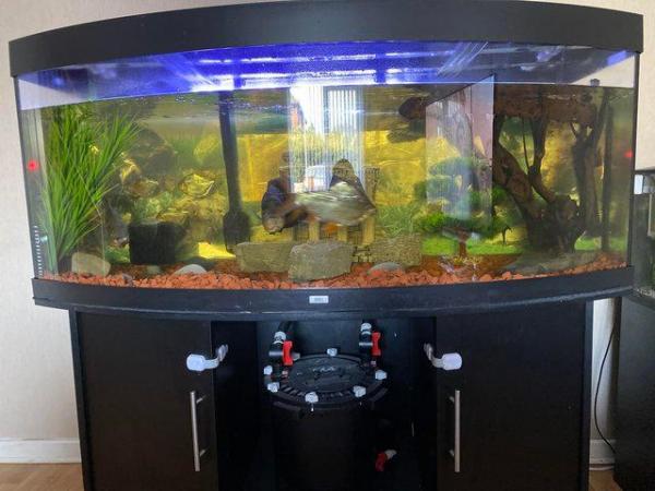 Image 5 of 500l jewel fish aquarium £350 (bare tank and stand)