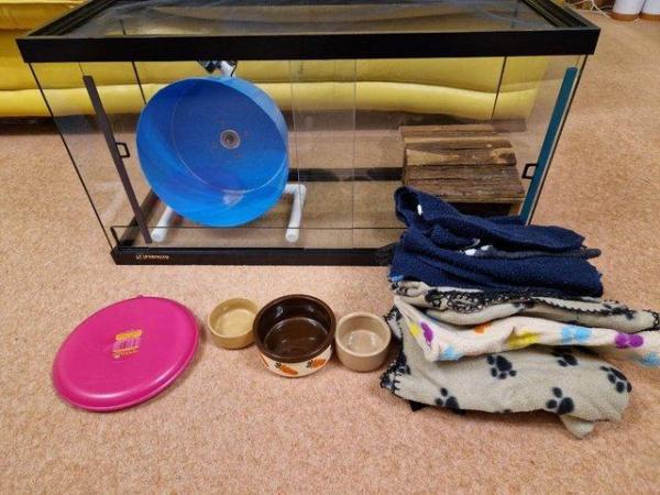 Image 1 of Pygmy hedgehog cage with accessories