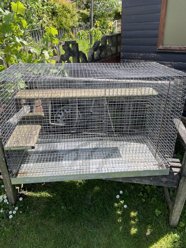 Preview of the first image of Chinchilla/rodent cage for sale.
