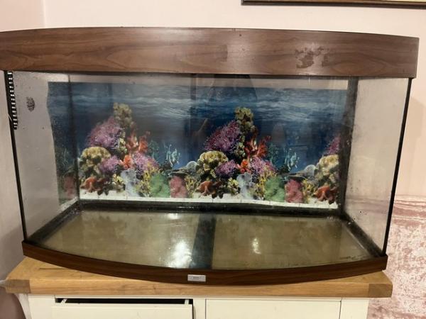 Image 2 of 180 litre fish tank and accessories