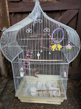 Image 2 of Baby budgie and second hand cage