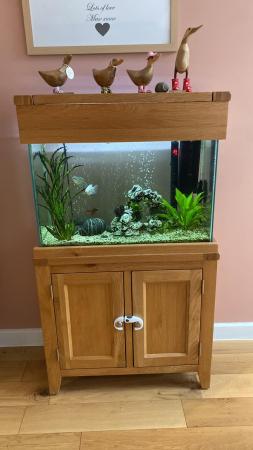 Image 3 of Oak fish tank with fish and accessories