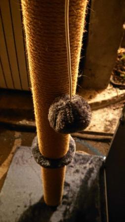 Image 4 of Cat Scratcher Sisal Post And Toy - 70cm High