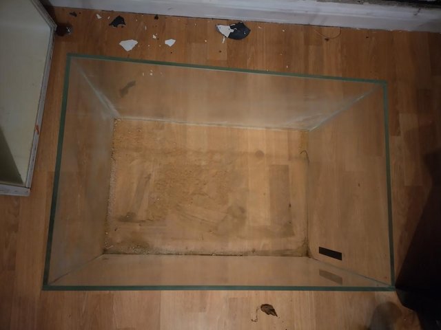 90 Litre fish tank, 60cm — photo 4 of 4