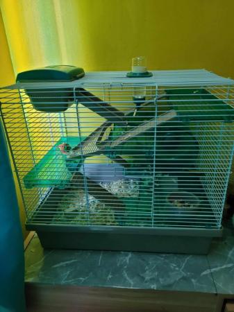 Image 5 of Fluffy hamster and cage for sale