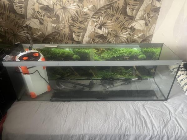 Image 4 of 4ft fish tank & accessories