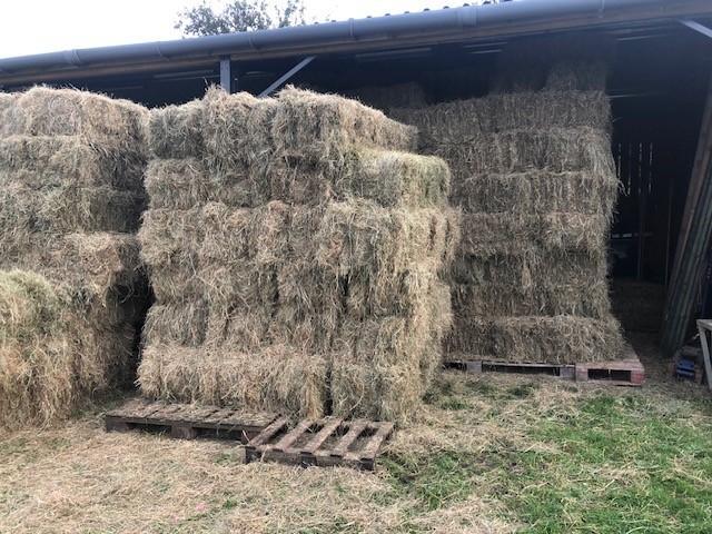 Preview of the first image of Quality Meadow Hay, £4.00/bale.