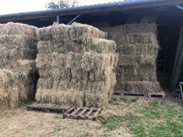 Image 1 of Quality Meadow Hay, £4.00/bale