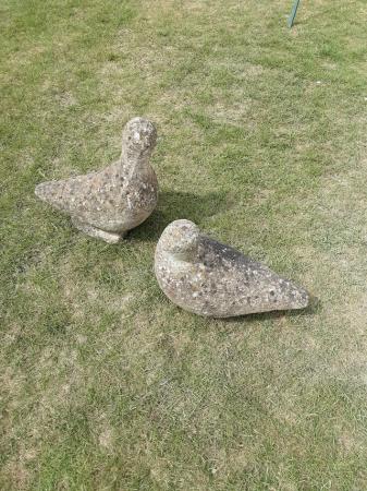 Image 1 of A pair of garden ornaments