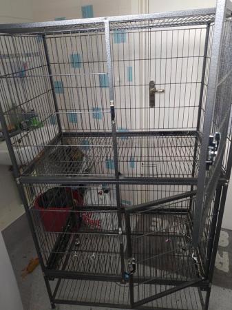 Image 1 of Large 2 tier chinchilla cage on wheels .