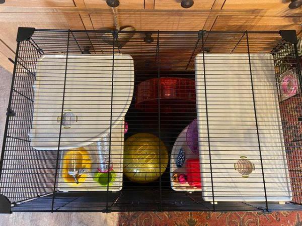 Image 2 of Fabulous basically brand new Syrian hamster cage