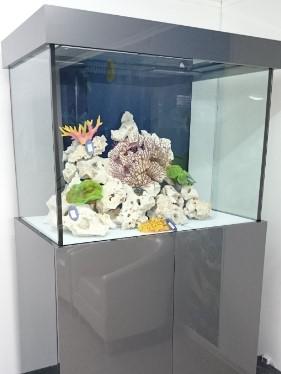 Image 1 of WANTED a reasonably priced aquarium fish tank over 100lt