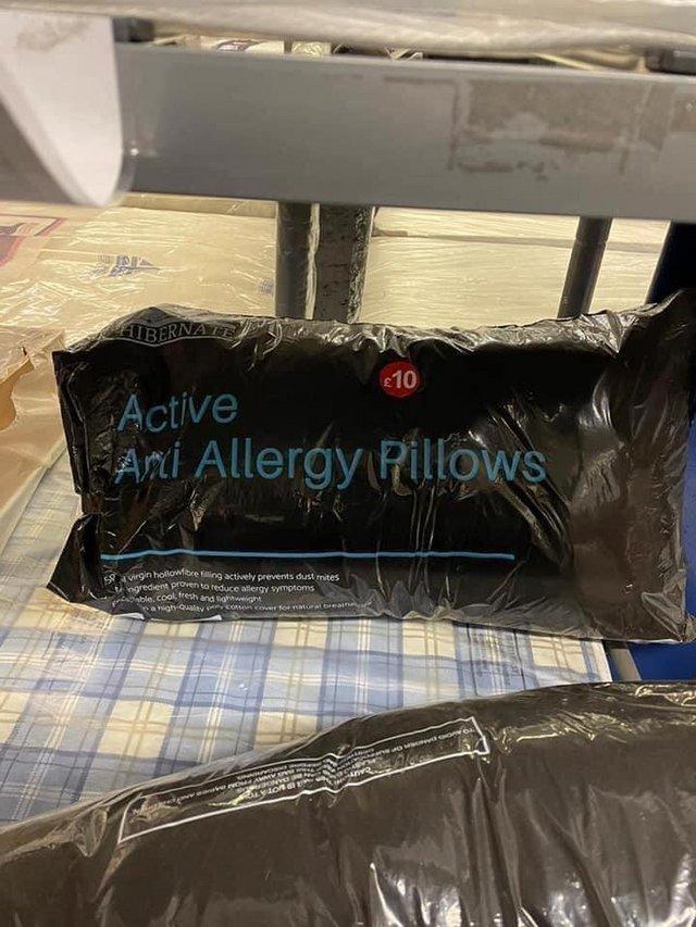 Preview of the first image of Anti allergy pillows ————————————-.