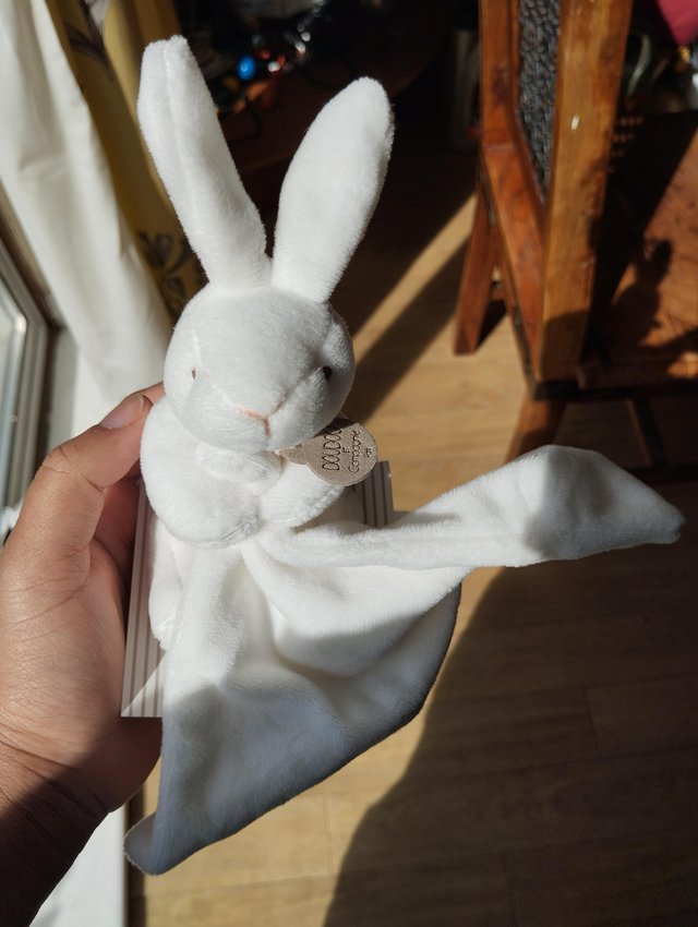 Preview of the first image of Doudou et Compagnie Natural Rabbit and Toweling with Gift Bo.