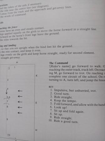 Image 5 of BOOK: School Exercises for flatwork & jumping