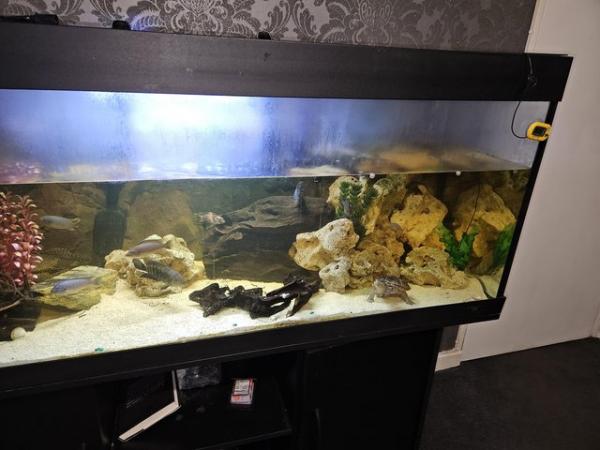 Image 2 of 5ft black fish tank with stand and everything else