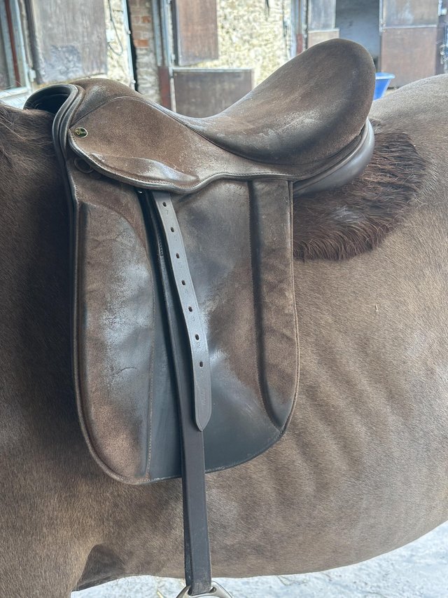 Preview of the first image of IDEAL 17.5”  xxw show saddle.
