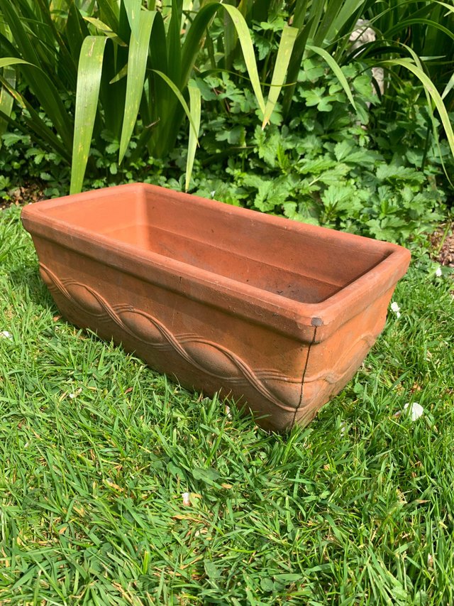 Preview of the first image of Italian terracotta plant pot.