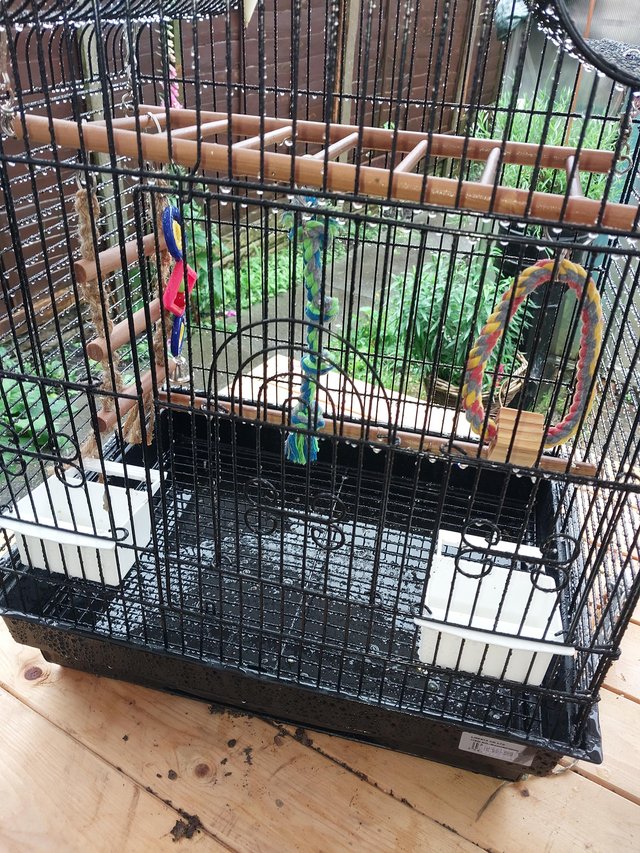 Preview of the first image of Bird cage for sale ......