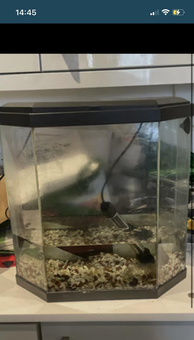 Preview of the first image of Starter fish aquarium tank.