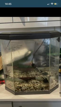 Image 1 of Starter fish aquarium tank