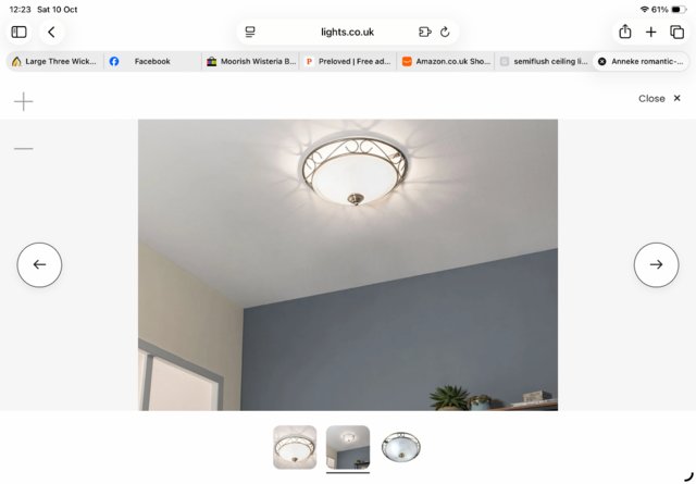 Semi-flush 2 bulb glass and metal ceiling light — photo 3 of 3
