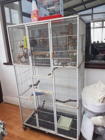 Image 6 of Large parrot cage lots toys