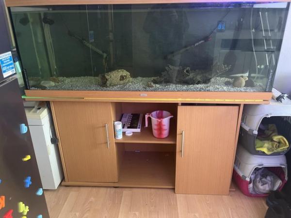 Image 1 of 5ft fish tank lid lights stand