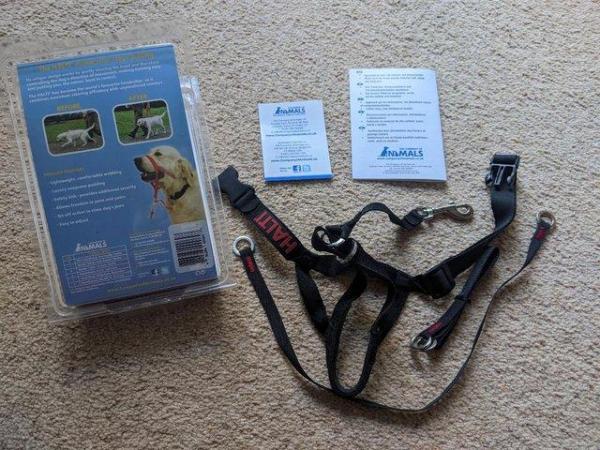 Image 2 of Halti headcollar for dogs size 2