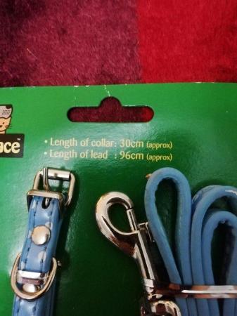 Image 2 of Dog or  puppy collar and lead blue