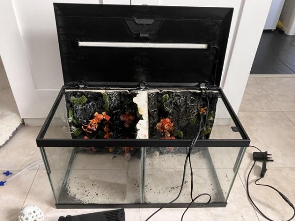 Image 1 of 2ft fish tank with accessories pump heaters filter backgroun