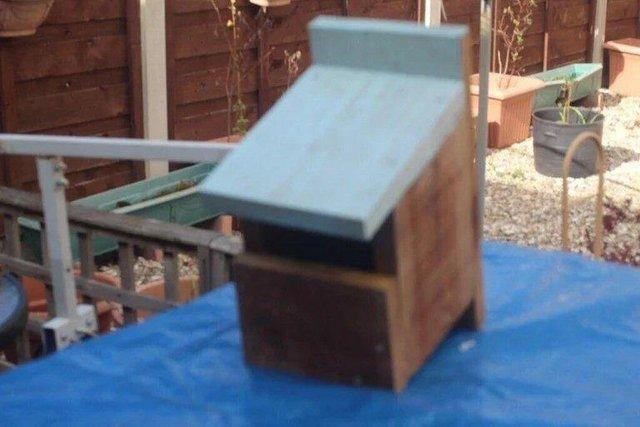 Preview of the first image of wild birds nesting boxes, solid wood.