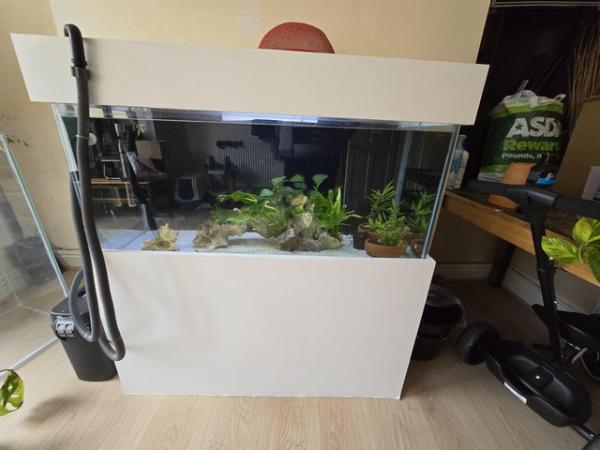Image 5 of Aquarium fish tank full set up
