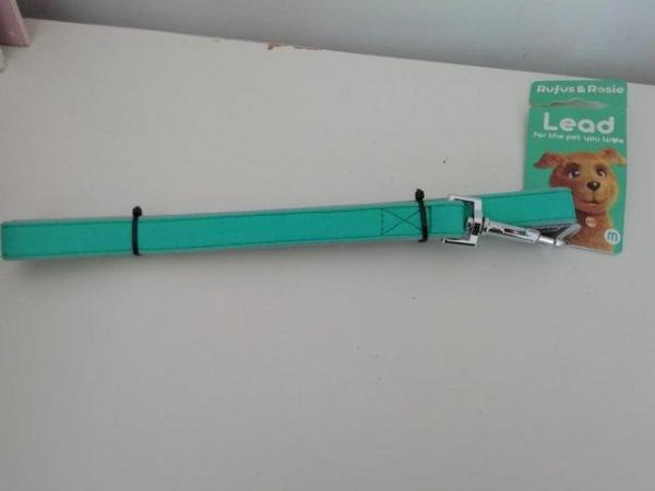 Image 1 of Dog Lead GREEN Rufus&Rosie SIZE M