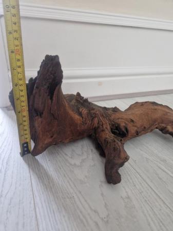 Image 3 of Large piece of bogwood..