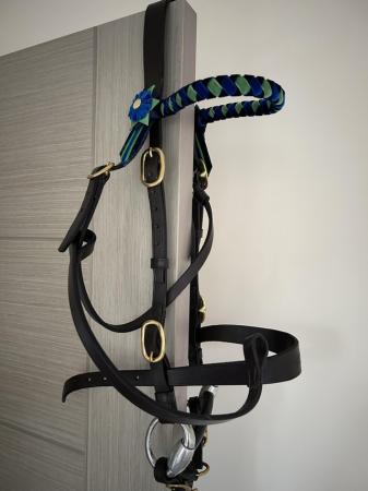 Image 2 of English Leather Inhand Bridle