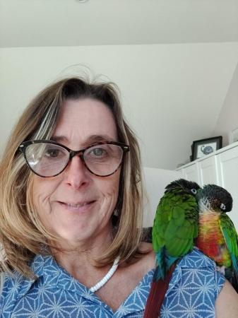 Image 10 of Green Cheek Conures Max & Rosie