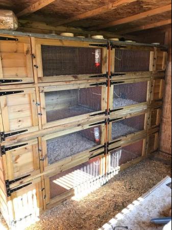 Image 3 of Ferret cages for sale, joiner built.