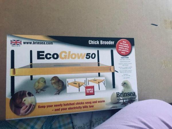Image 3 of Chick Brooder Bran New Eco Glow 50 for sale in sealed boxes