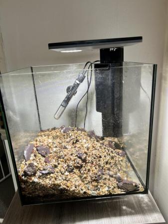 Image 4 of Fish tank aquarium and cabinet